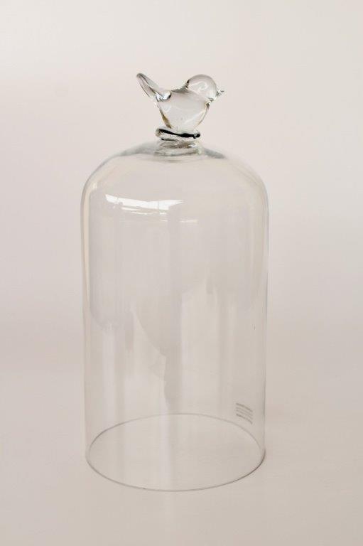 Tall Glass Dome Bird Knob